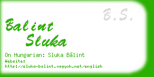 balint sluka business card